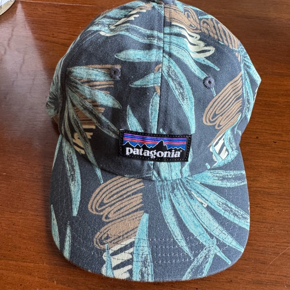 Patagonia Patterned Cap